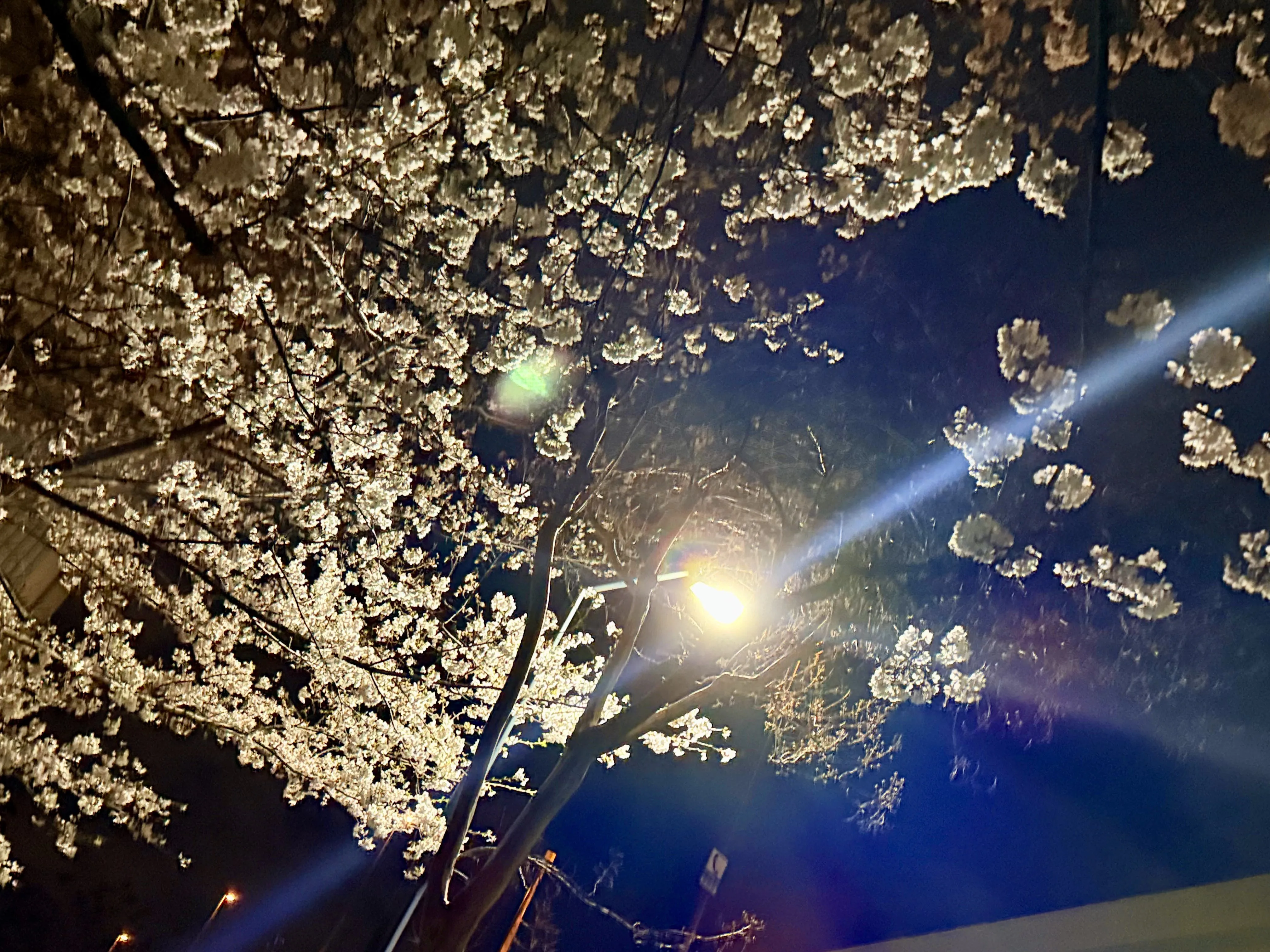 Photography content